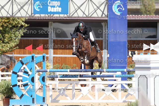 D ONOFRIO_ANNIKKI_ECC_2011_SS3_5235.jpg